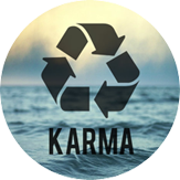 Astrology Karma Report